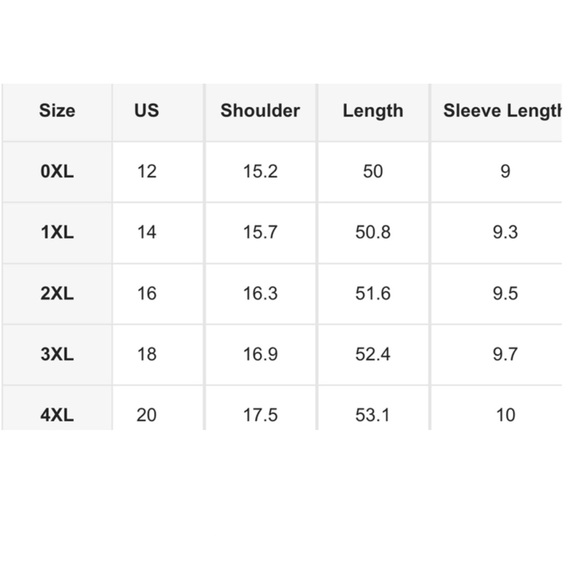 Black plus size ruffle sleeves embroidered belted dress - Picture 15 of 16